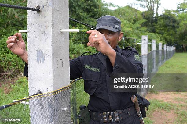 Indonesia-environment-animal-rhino,FEATURE by Arlina Arshad This picture taken on November 16, 2013 shows a member of the JRSCA showing how electical...