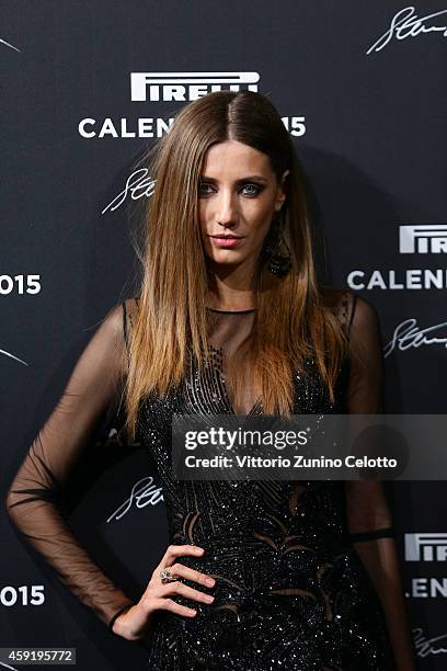 Andreea Stancu attends the 2015 Pirelli Calendar Red Carpet on November 18, 2014 in Milan, Italy.