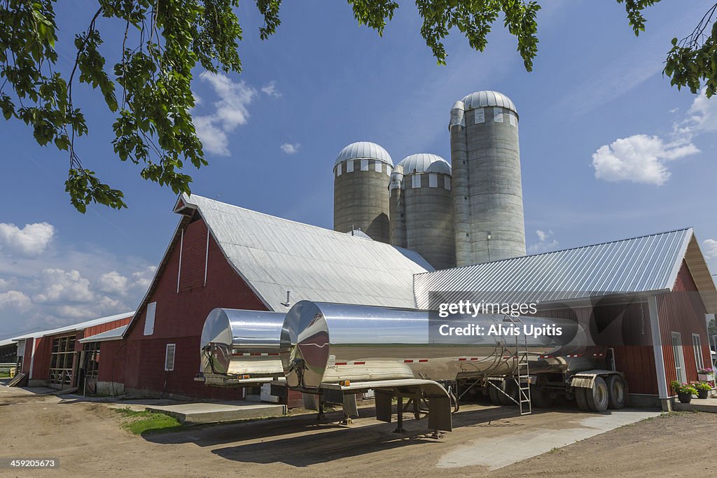 Milk tankers loading milk at dairy farm