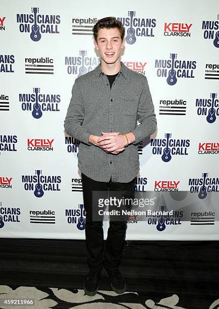 Singer Shawn Mendes attends Musicians On Call Celebrates Its 15th Anniversary Honoring Kelly Clarkson And EVP Of Republic Records, Charlie Walk on...