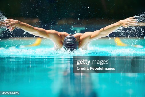 Perfekte Delfinschwimmen! Perfekte Delfinschwimmen!