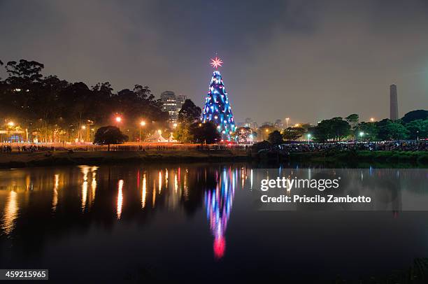 christmas tree - ibirapuera park stock pictures, royalty-free photos & images