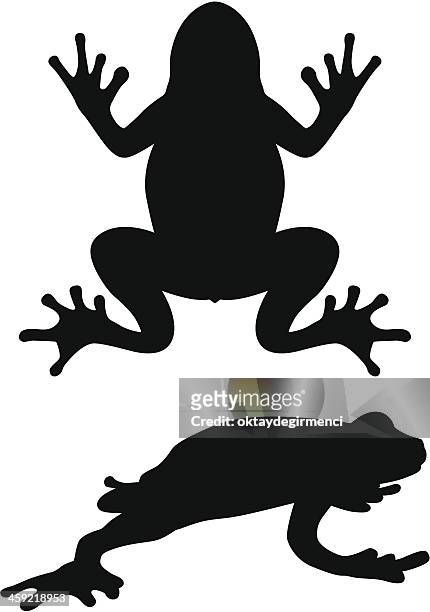 illustrations, cliparts, dessins animés et icônes de grenouille - jambe animale