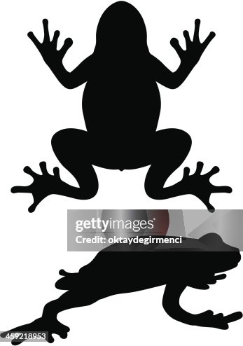 124点の蛙 ジャンプイラスト素材 Getty Images 124点の蛙 ジャンプイラスト素材 Getty Images