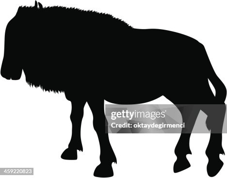 Wildebeest Wildebeest