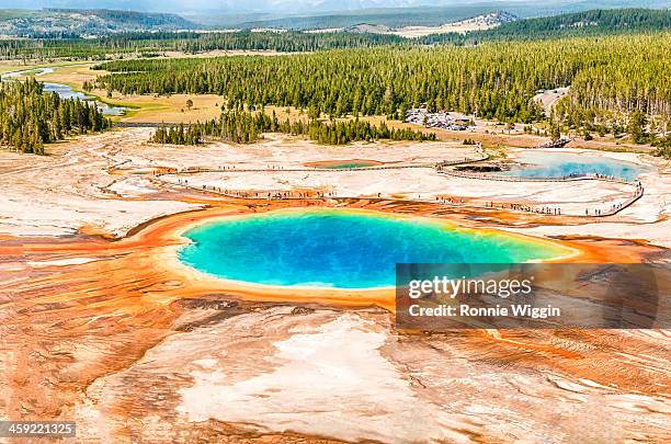 grand prismatic spring - grand prismatic spring stock pictures, royalty-free photos & images
