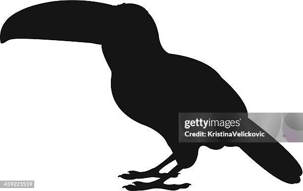 toucan silhouette - toucan stock illustrations