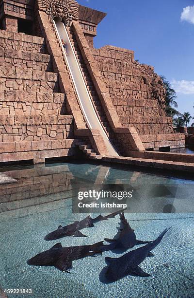 atlantis hotel - ruimteshuttle atlantis stockfoto's en -beelden