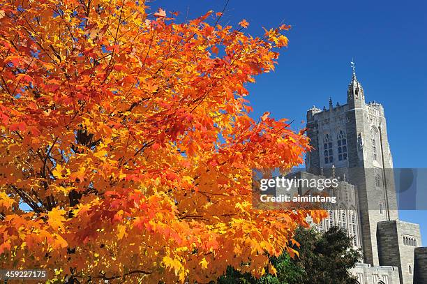 campus of princeton university - princeton day stock pictures, royalty-free photos & images