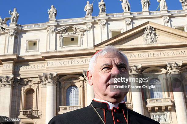 German cardinal Gerhard Ludwig Muller attends Pope Francis' weekly audience in St. Peter's Square on November 19, 2014 in Vatican City, Vatican....