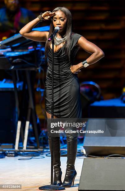 Musician Estelle performs during the 2014 Marian Anderson Awards Gala honoring Jon Bon Jovi at the Kimmel Center for the Performing Arts on November...