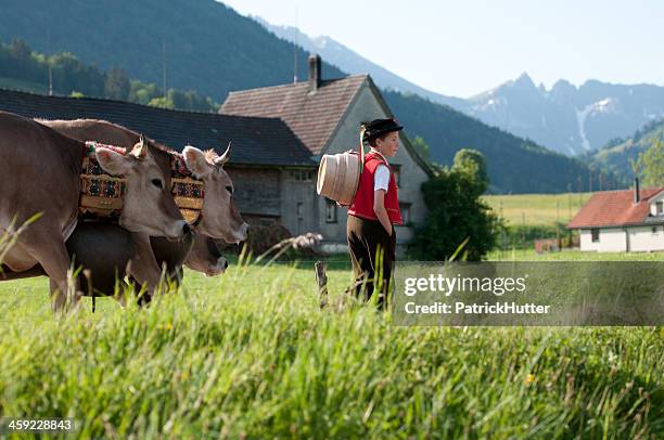 appenzell - appenzell stock-fotos und bilder