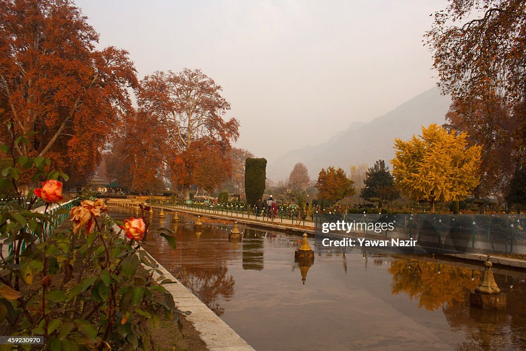 Autumn Scenes In Kashmir