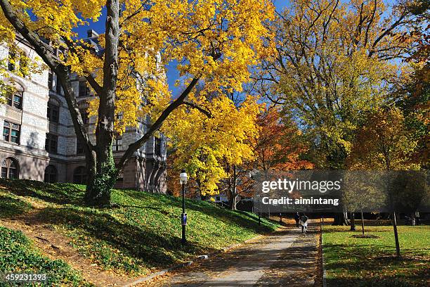 campus of princeton university - princeton bildbanksfoton och bilder