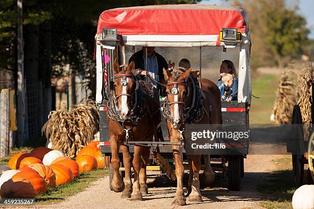 autumn hay ride - hayride stock pictures, royalty-free photos & images