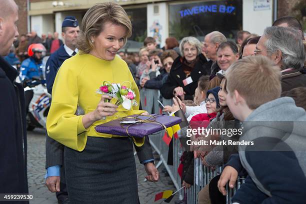 Queen Mathilde of Belgium visits Cerfontaine on November 19, 2014 in Namur, Belgium.