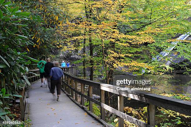 people at dingmans falls - delaware water gap national recreation area stock pictures, royalty-free photos & images