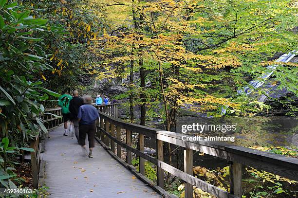 people at dingmans falls - delaware water gap national recreation area bildbanksfoton och bilder