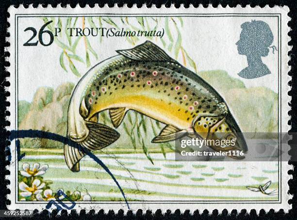 trout stamp - brown trout stock pictures, royalty-free photos & images