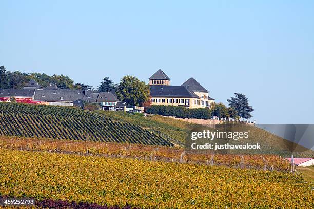 castle johannisberg in rheingau - rheingau stock pictures, royalty-free photos & images