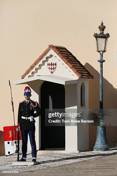 Atmosphere at the Palace Square during the National Day Parade as part of Monaco National Day Celebrations at Monaco Palace on November 19, 2014 in...