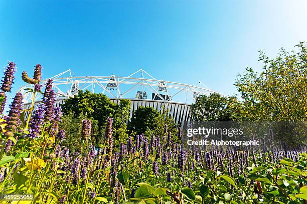 london olympic park - olympic park london stock pictures, royalty-free photos & images