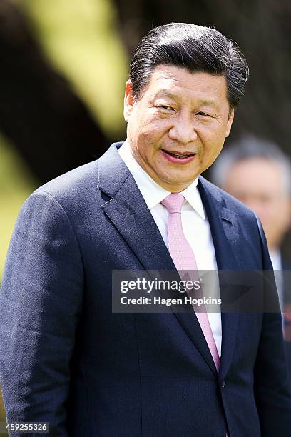 President Xi Jinping Of China arrives during a State Welcome at Government House on November 20, 2014 in Wellington, New Zealand. President Xi...