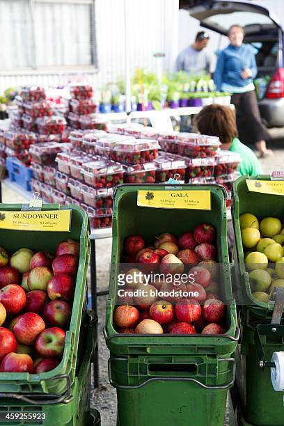 farmers market - adelaide markets stock pictures, royalty-free photos & images