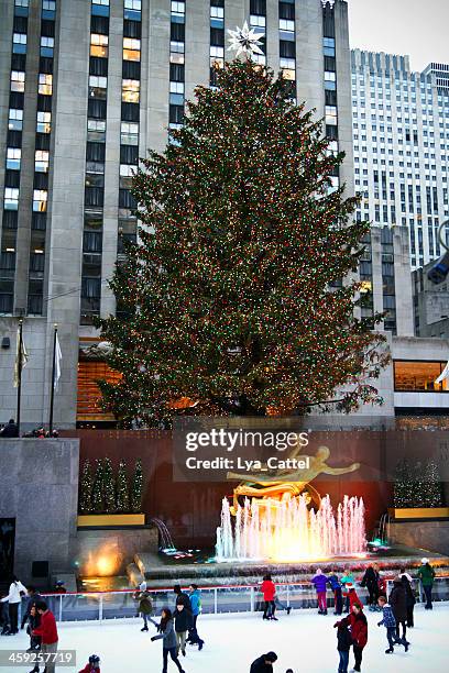 106 Prometheus (Tree) Stock Photos, High-Res Pictures, and Images ...