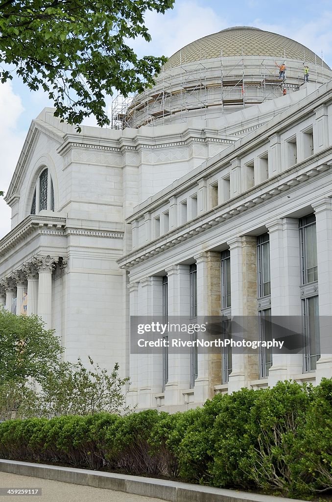 Smithsonian Institute of Natural History