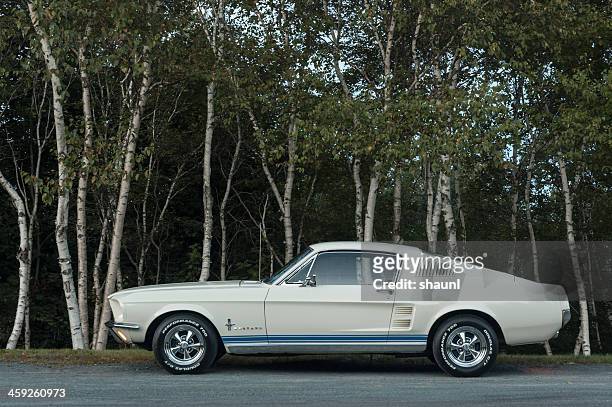 ford mustang - ford mustangs stock pictures, royalty-free photos & images