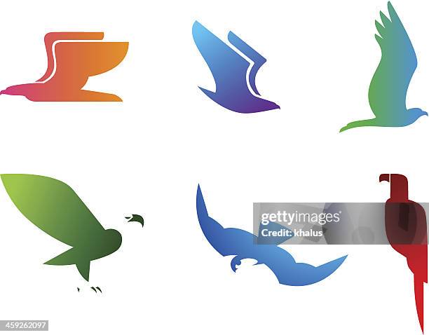set vögel - kite bird stock-grafiken, -clipart, -cartoons und -symbole