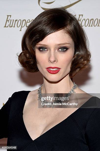 Model Coco Roca attends The New York Ball: The 20th Anniversary Benefit for The European School Of Economics at Trump Tower on November 19, 2014 in...