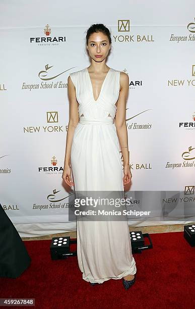 Alexandra Agoston attends The New York Ball: The 20th Anniversary Benefit For The European School Of Economics at Trump Tower on November 19, 2014 in...