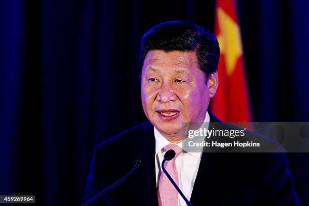 President Xi Jinping of China speaks during a signing of NZ-China agreements at Premiere House on November 20, 2014 in Wellington, New Zealand....