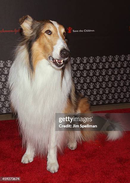 Lassie attends the 2nd annual Save the Children Illumination Gala at the Plaza Hotel on November 19, 2014 in New York City.