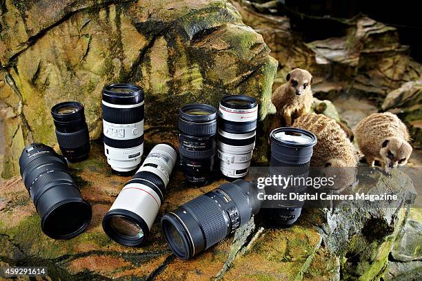 Selection of DSLR lenses in the meerkat enclosure at Exmoor Zoo, for a feature on the best kit for photographing wildlife, taken on February 21, 2014.