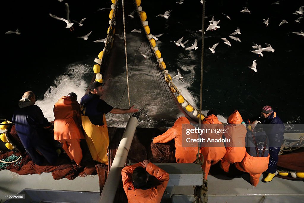 Fishing in Marmara Sea