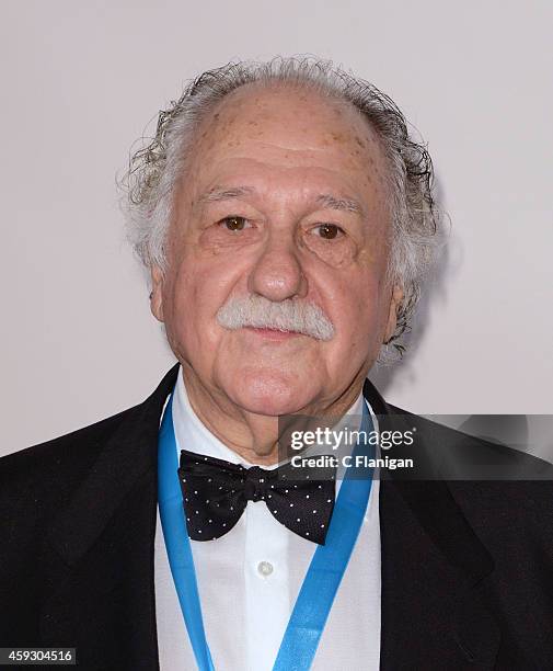 Ricardo Pachon arrives to the 2014 Latin Grammy Person Of The Year Tribute on November 19, 2014 in Las Vegas, Nevada.