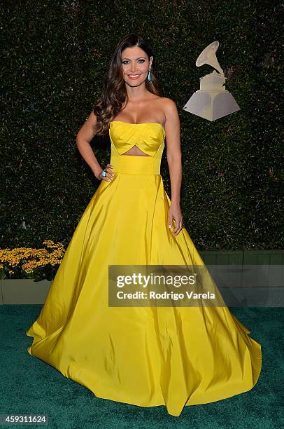 Personality Chiquinquira Delgado attends the 15th annual Latin GRAMMY Awards at the MGM Grand Garden Arena on November 20, 2014 in Las Vegas, Nevada.