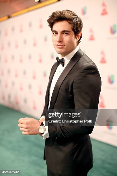 Actor Danilo Carrera attends the 15th Annual Latin GRAMMY Awards at the MGM Grand Garden Arena on November 20, 2014 in Las Vegas, Nevada.