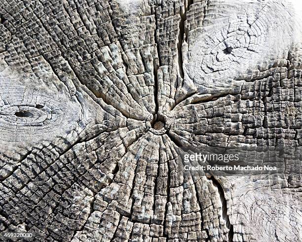 Old piece of weathered wood texture or pattern.