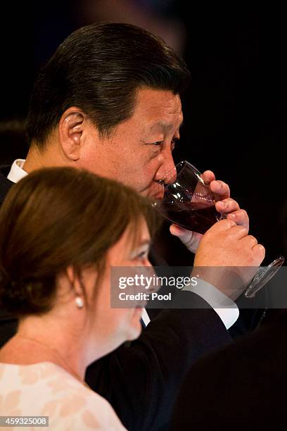 New Zealand Prime Minister's wife Bronagh Key and Chinese President Xi Jinping raise their wine glass during a luncheon at SkyCity Grand Hotel on...