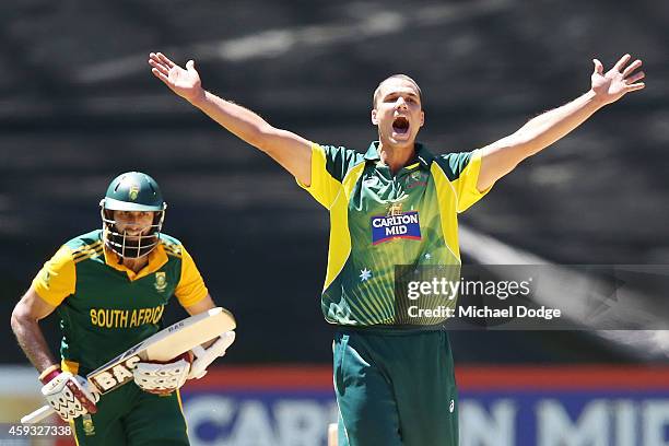 Nathan Coulter-Nile of Australia appeals unsuccessfully for LBW against Hashim Amla of South Africa during game four of the One Day International...