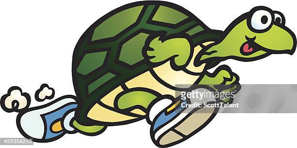 65 Slow Turtle Cartoon High Res Illustrations - Getty Images