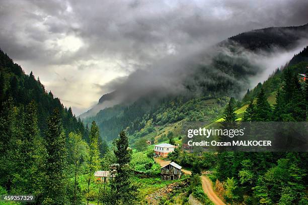 life in the highlands - trabzon stock-fotos und bilder