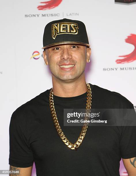 159 Rapper Wisin Stock Photos, High-Res Pictures, and Images - Getty Images