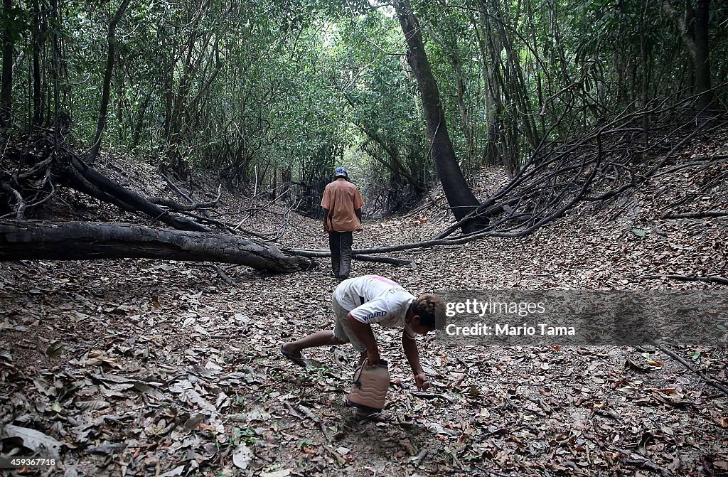 Quilombo Residents Threatened By Ranching And Logging In Brazil's Amazon