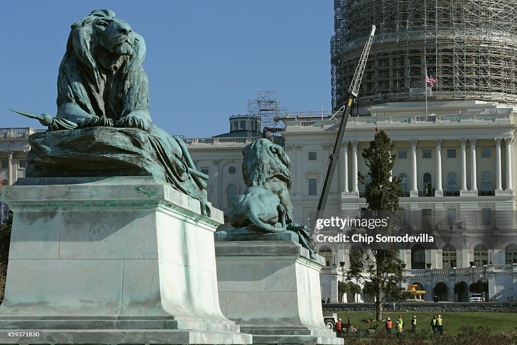 Arrival Of Capitol Christmas Tree Launches Holiday Season In Washington