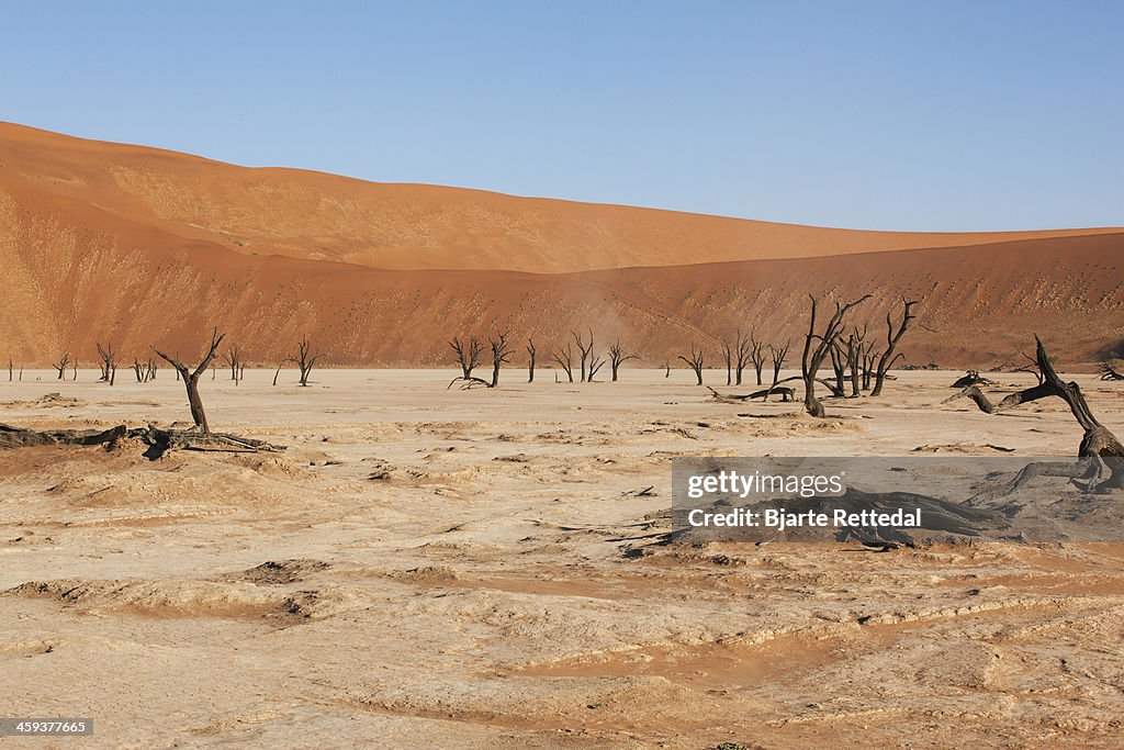 Deadvlei Clay Pan